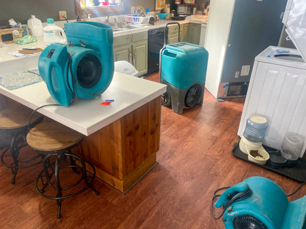 Best 24/7 water damage repair  in Makakilo, HI