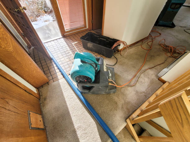Trusted Makakilo, HI Water damage restoration Experts