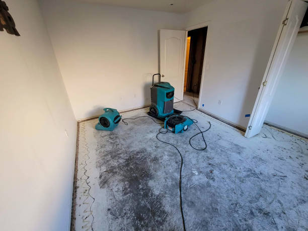 Best Water damage restoration specialists  in Makakilo, HI