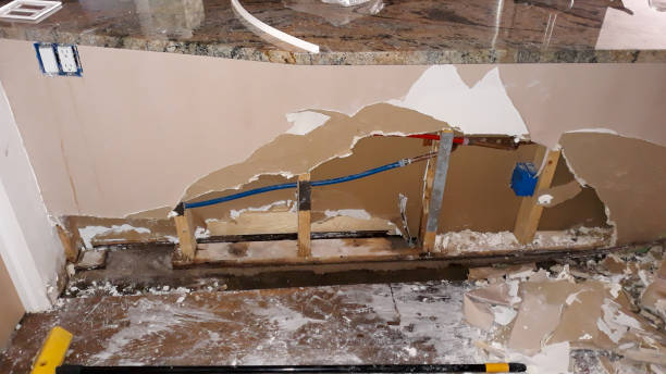 Best 24-hour water damage restoration  in Makakilo, HI