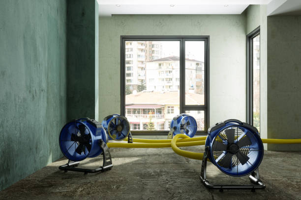 Best Water damage restoration insurance claims  in Makakilo, HI